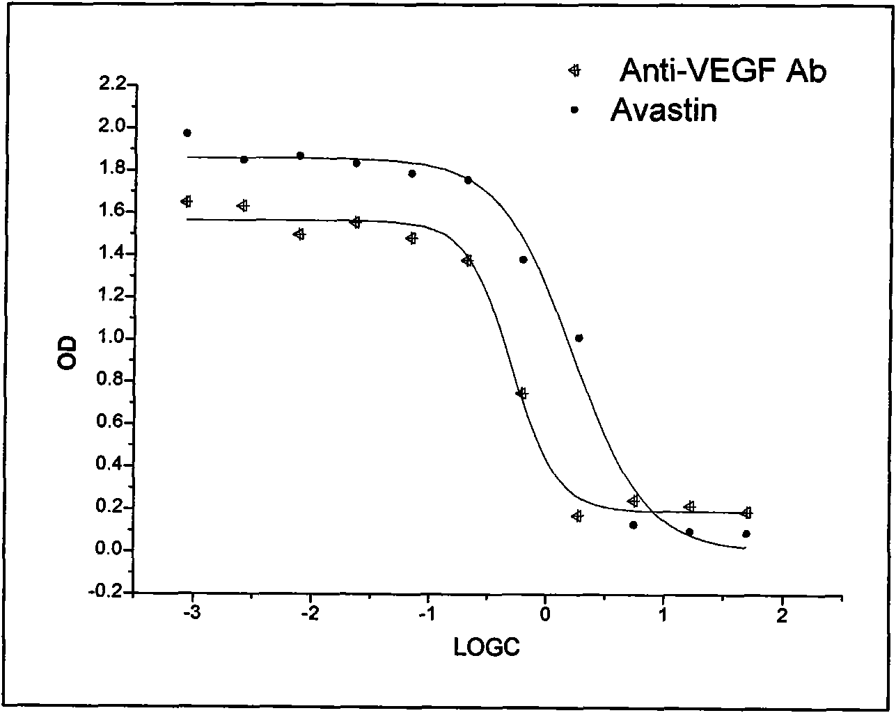 Humanized monoclonal antibody against human vascular endothelial growth factor and preparation and application thereof