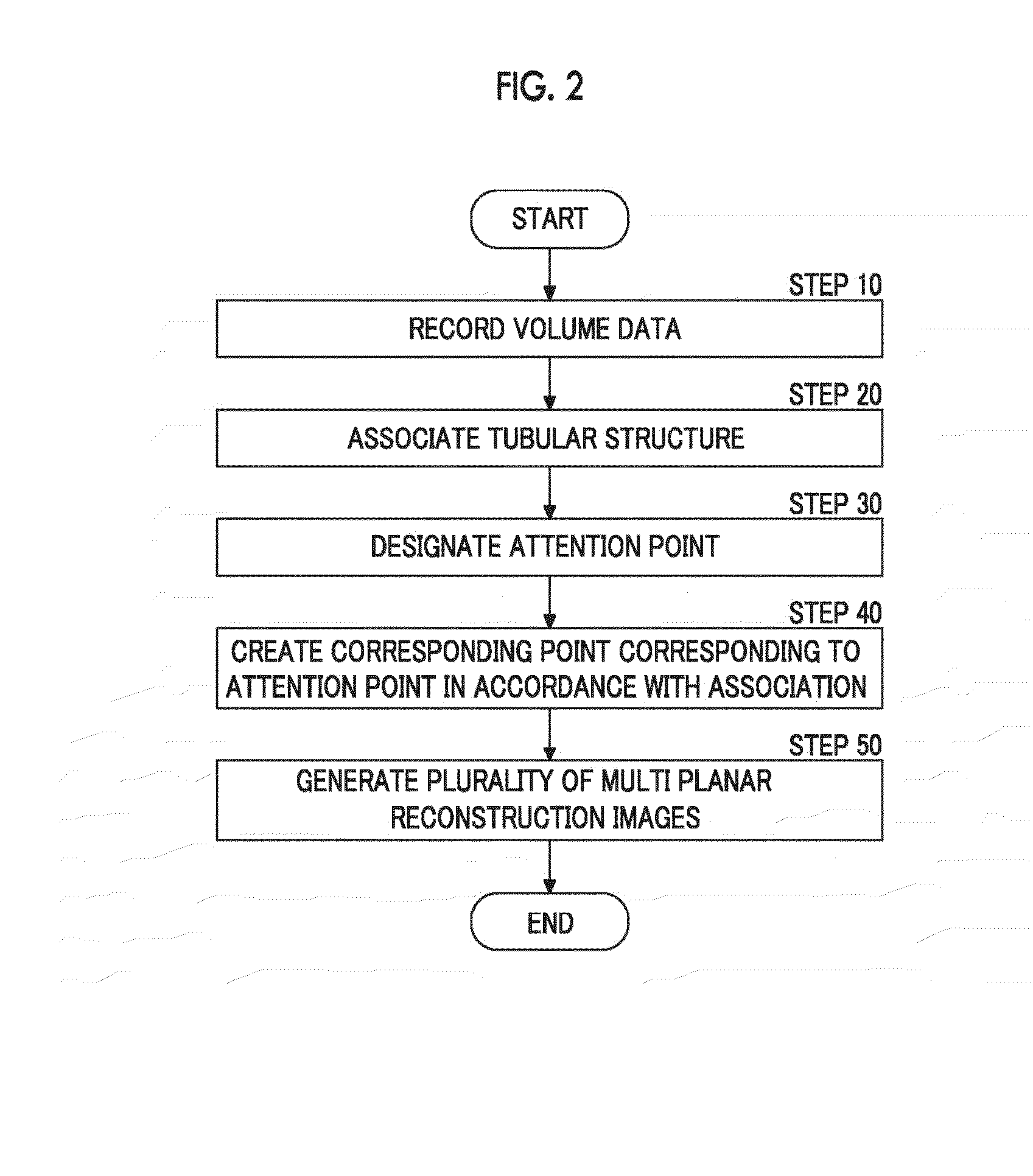 Medical image processing system, recording medium having recorded thereon a medical image processing program and medical image processing method