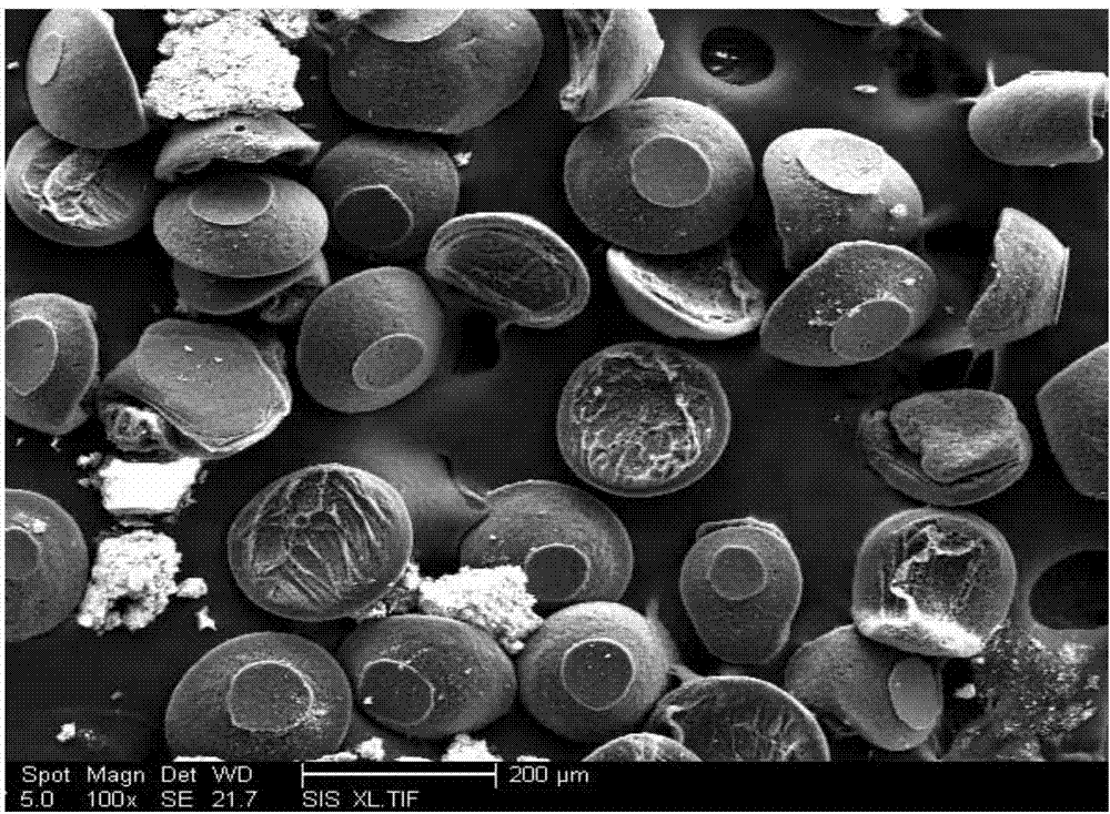 Method for preparing three-dimensional bowl-shaped porous carbon material based on carbon nanotube