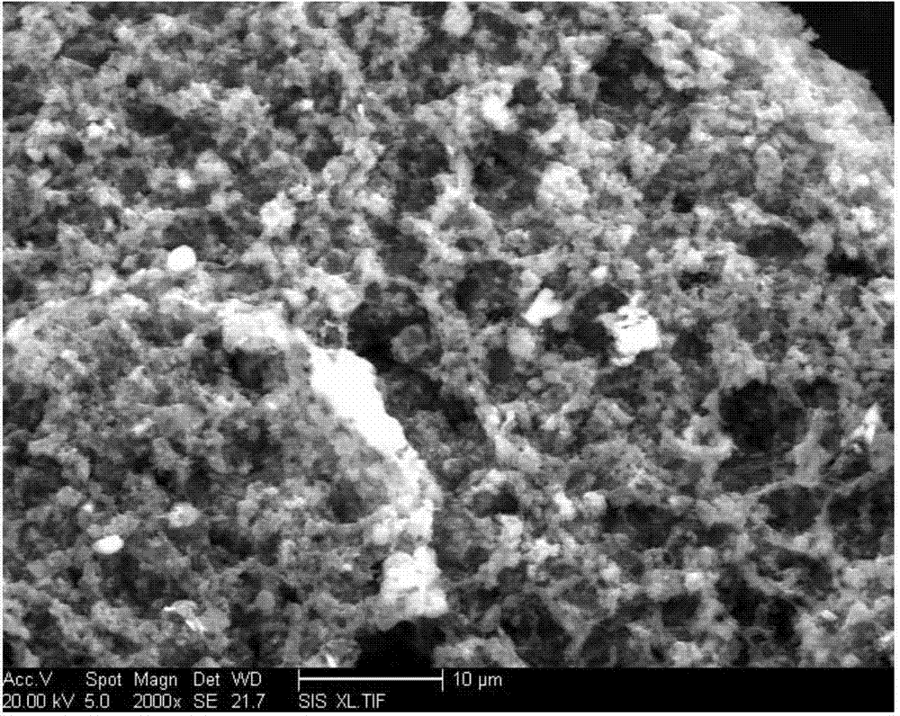 Method for preparing three-dimensional bowl-shaped porous carbon material based on carbon nanotube