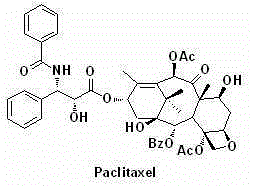 Side chain C-3 position-modified taxane analogs and preparation method thereof