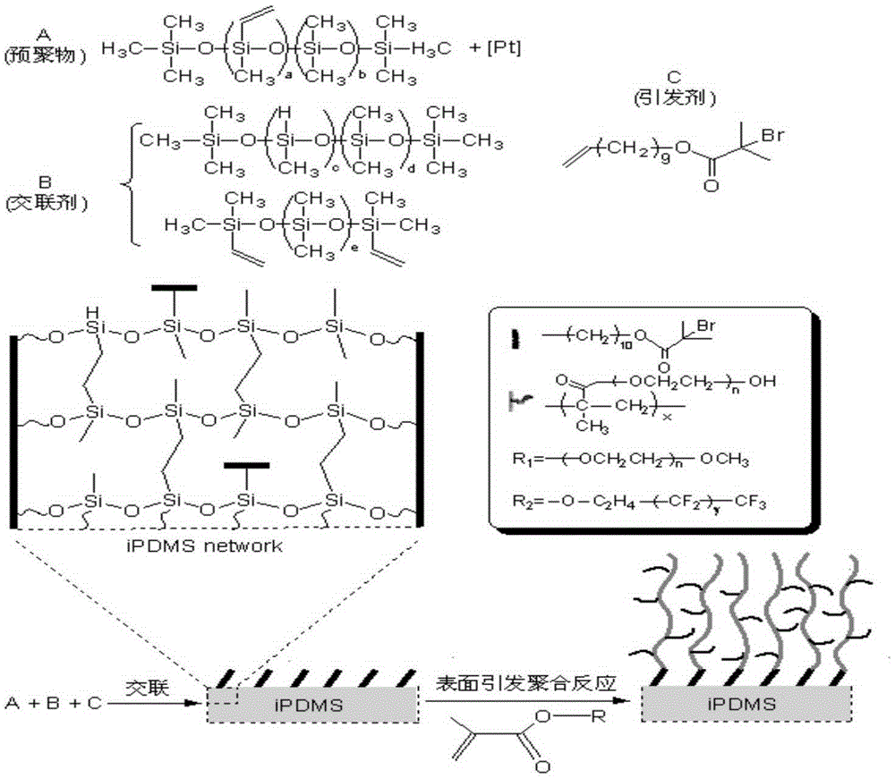 Cervical cancer detection polypeptide and detection device and detection kit