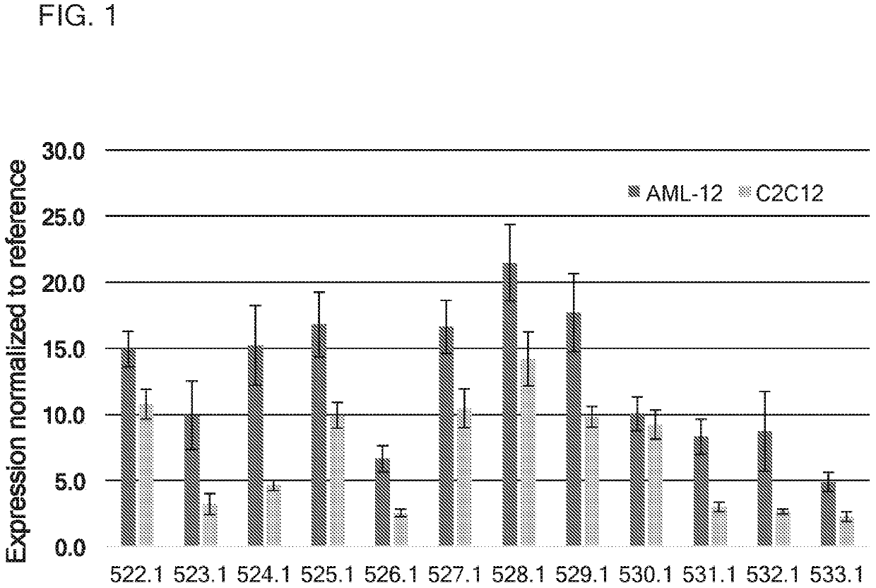 Therapeutics for glycogen storage disease type III