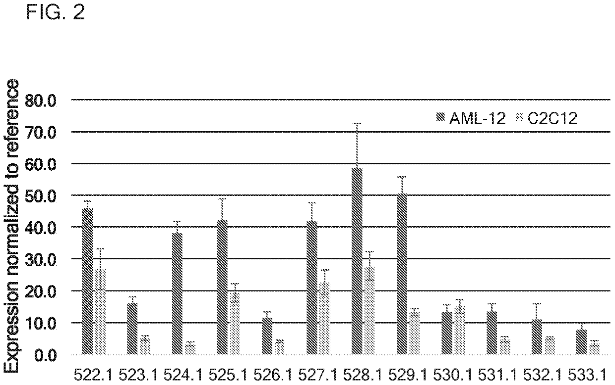 Therapeutics for glycogen storage disease type III