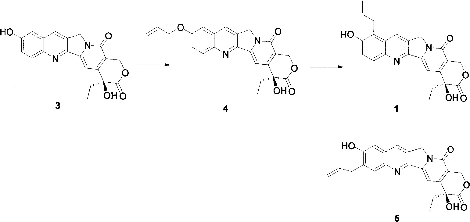 Method for synthetizing allyl-substituted camptothecin compound