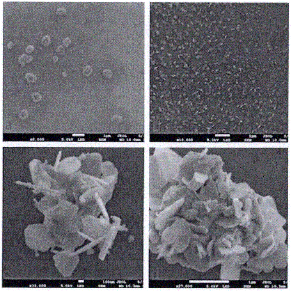 Preparation method of bismuth molybdate-bismuth oxybromide composite visible photocatalyst