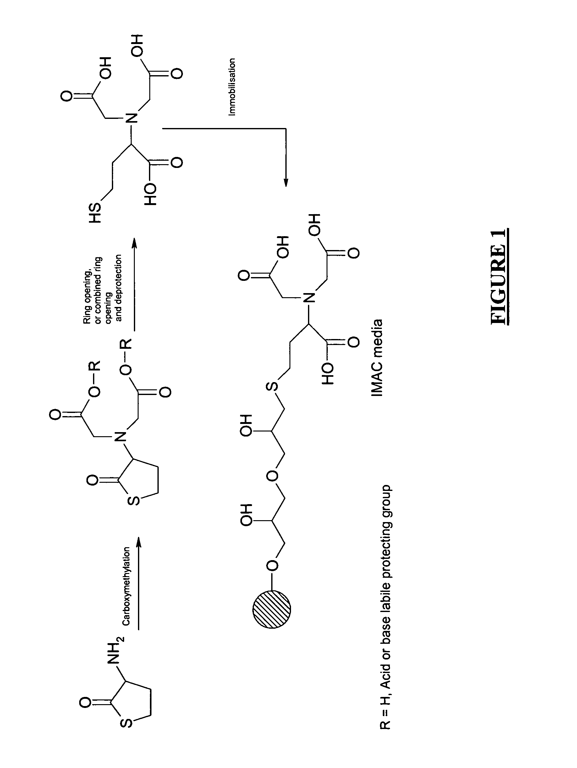 Method of generating metal chelating affinity ligands