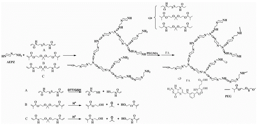 Preparation method and application of degradable hyperbranched polyamidoamine