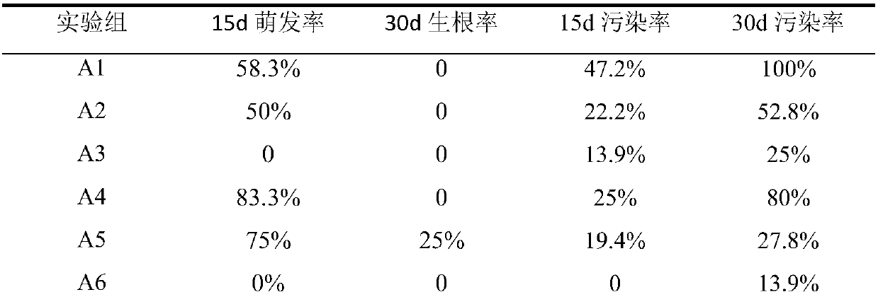 A kind of double-layer embedding artificial seed production method of Zhuge Cai