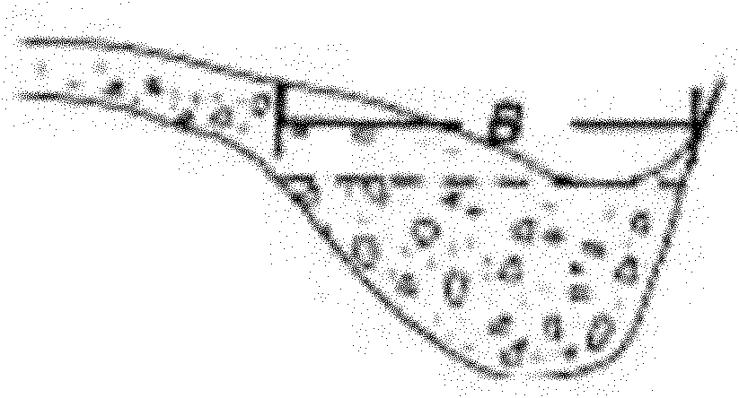 Method for measuring and calculating characteristics of breach of landslide and debris-flow dam and application thereof