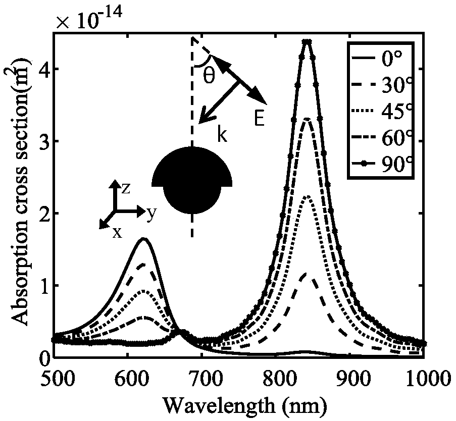 Heterogeneous dual nanoparticle structure insensitive to polarization state of excitation light and application thereof