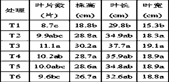 A method of drip irrigation and fertilization under plastic film for tobacco