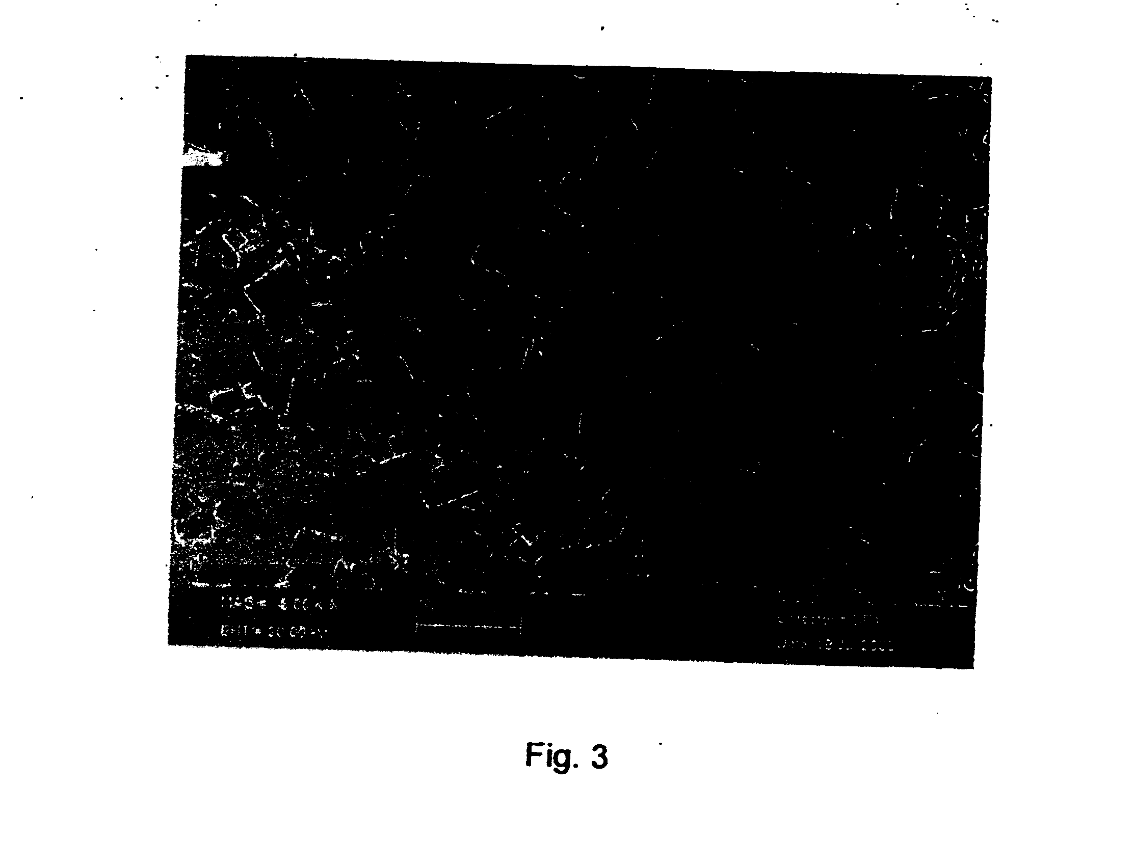 Piezoelectric ceramic composition and the method for preparing the same