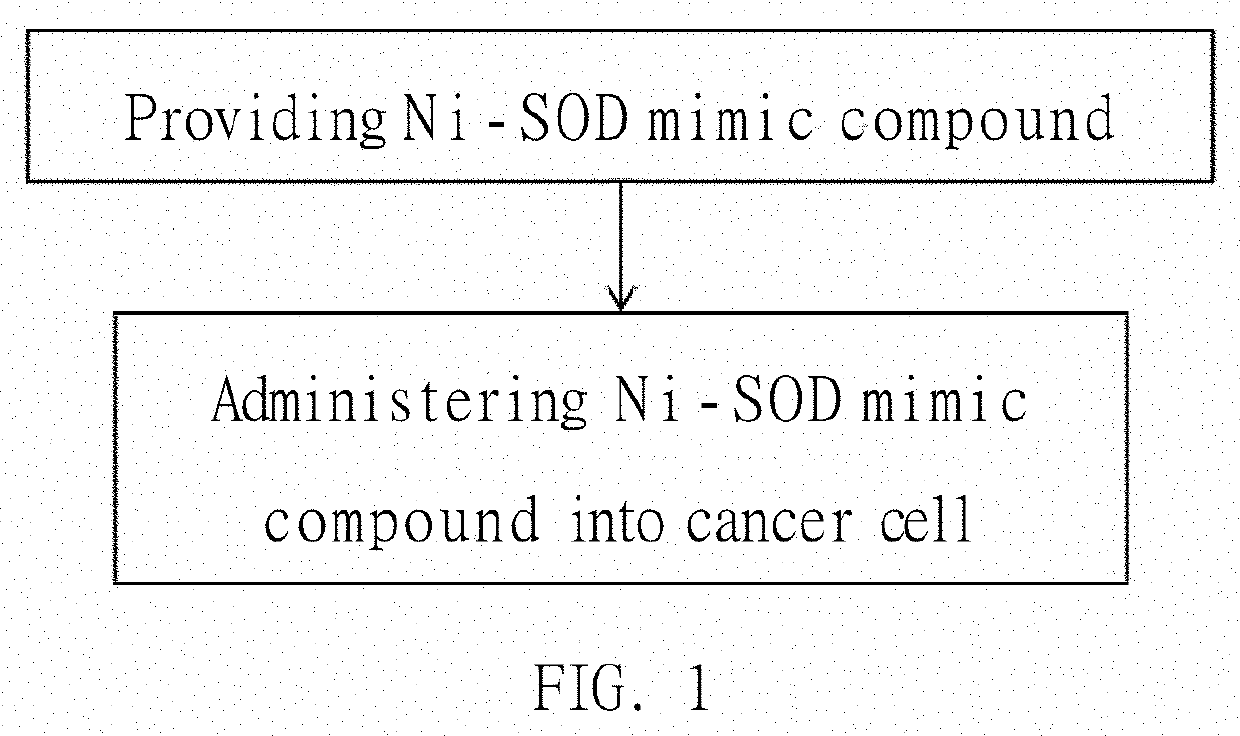 CANCER TREATMENT METHOD USING Ni-SOD MIMIC COMPOUND