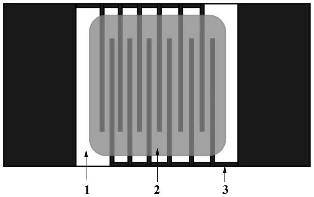 Xylene gas sensor based on SnS2 sensitive layer modified by gold-palladium alloy and preparation method of xylene gas sensor