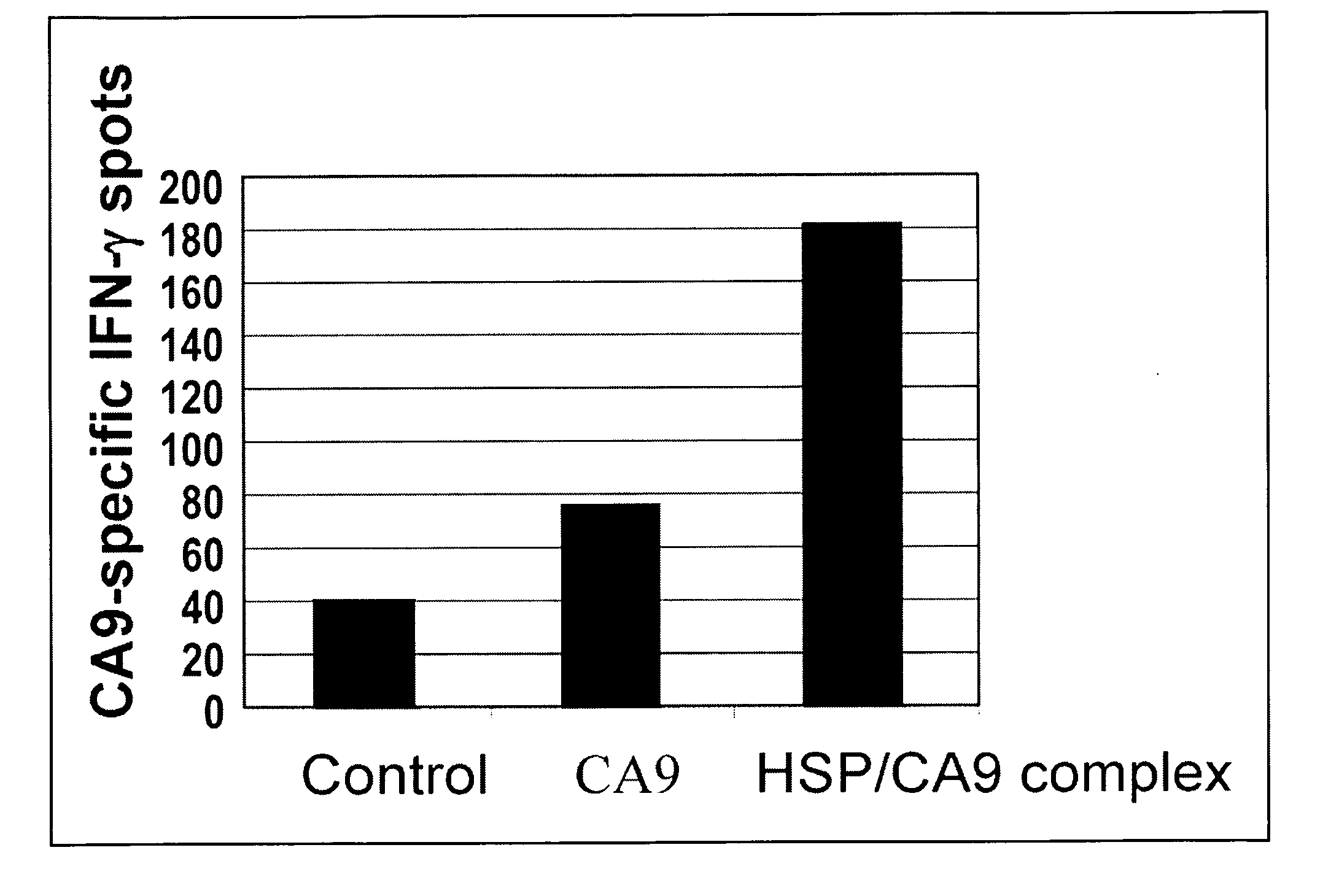 Use of recombinant heat shock protein complexed to kidney cancer antigen