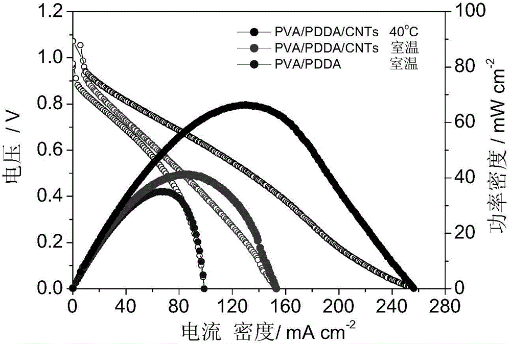 A kind of carbon nanotube doped basic anion exchange composite membrane and its preparation method and application