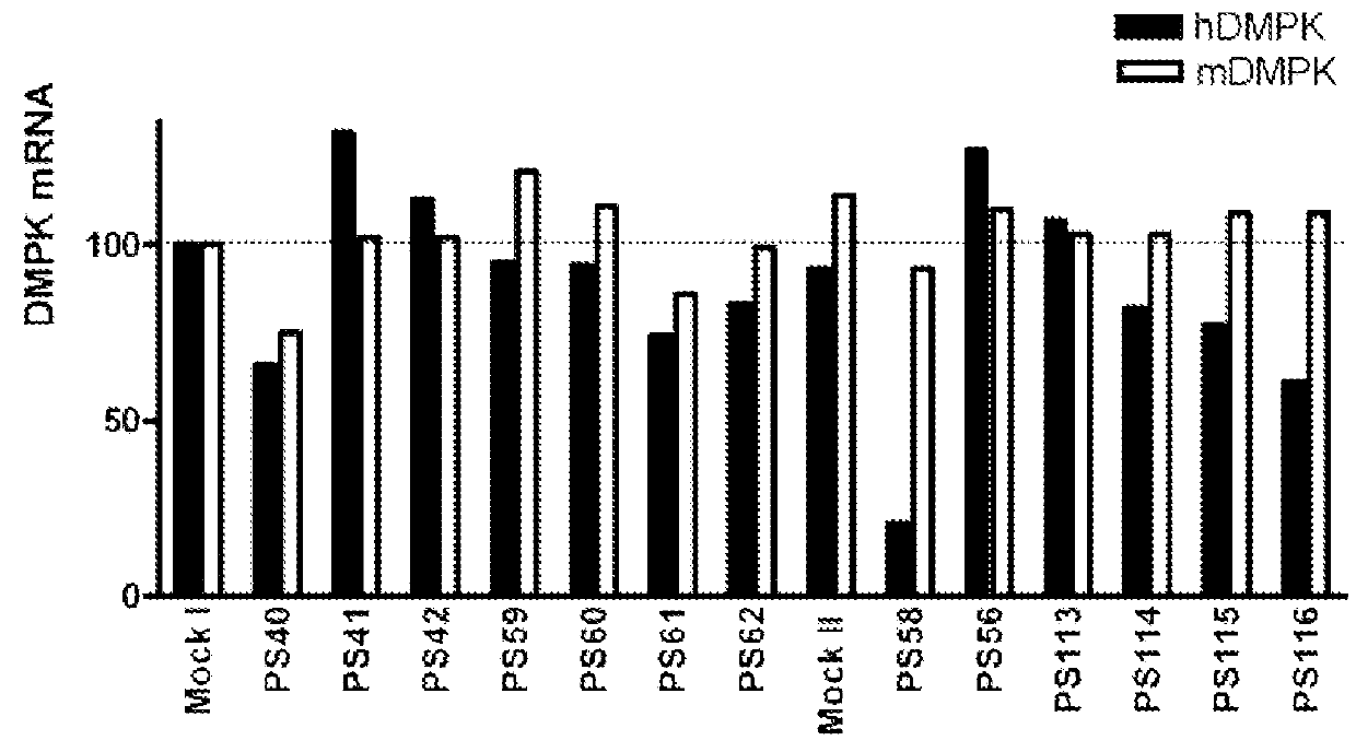 Treatment of genetic disorders associated with DNA repeat instability