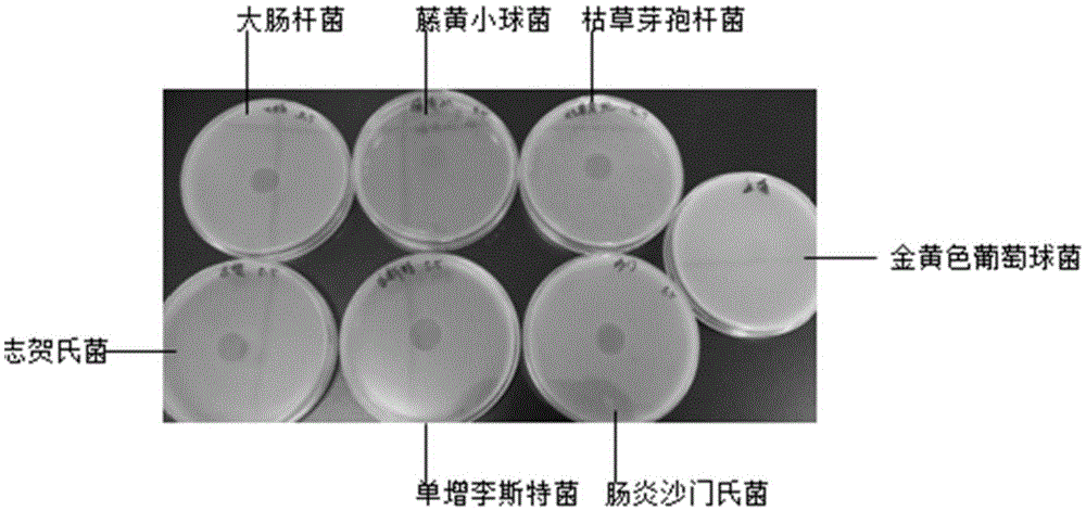 Fungistatic paenibacillus sp. fermentation liquor extract