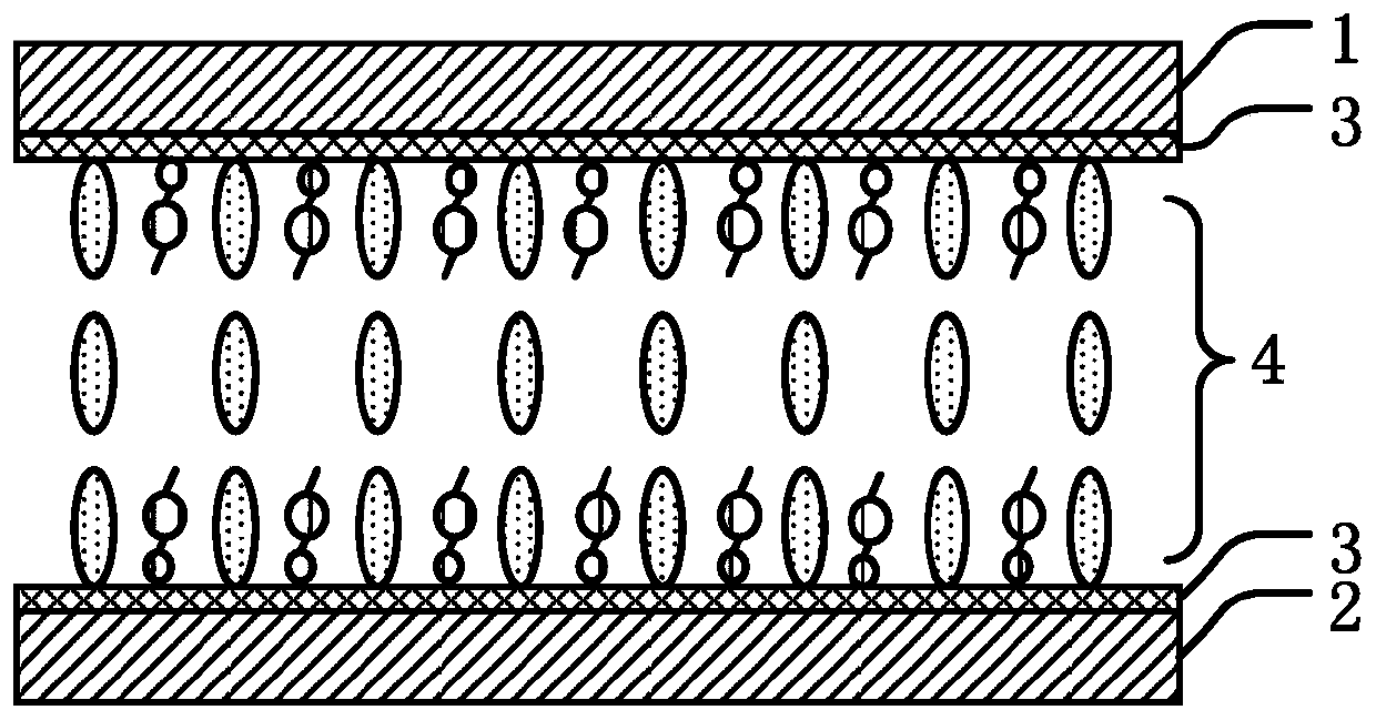 Self-alignment liquid crystal, and display device and preparation method thereof