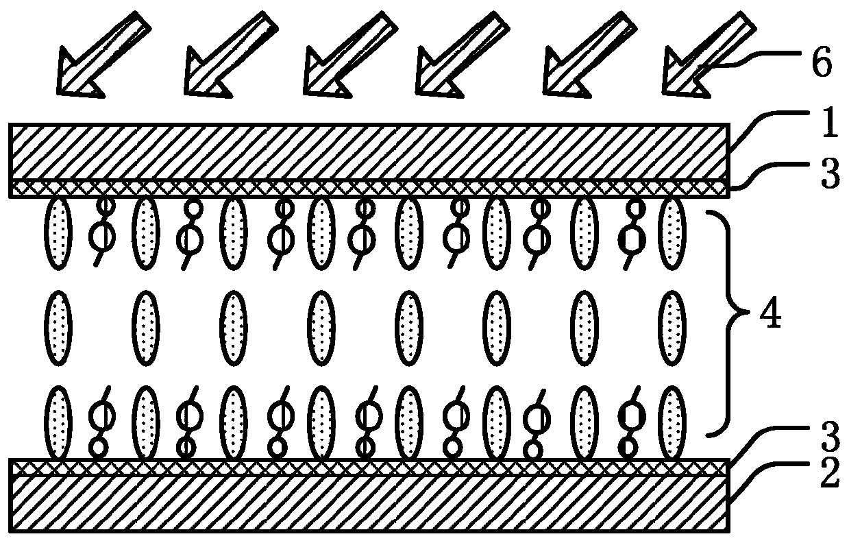 Self-alignment liquid crystal, and display device and preparation method thereof