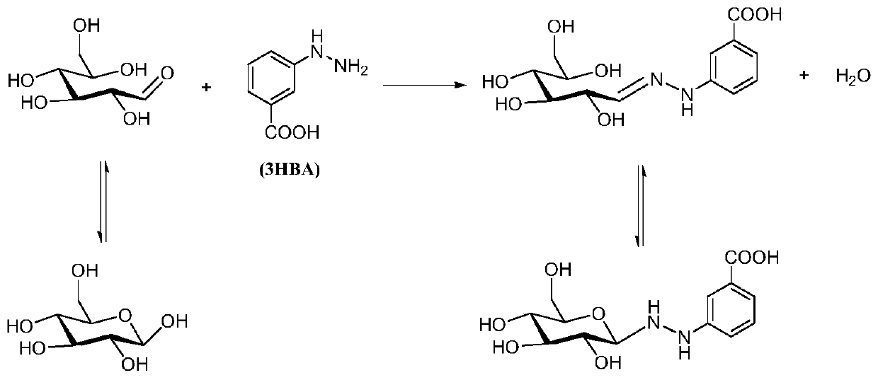 Application of 3-hydrazinobenzoic acid derivatized dextran in mass calibration of maldi-tof-ms