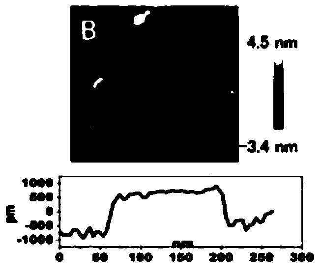 Super-strength transparent imitated shell composite thin film and preparation method thereof