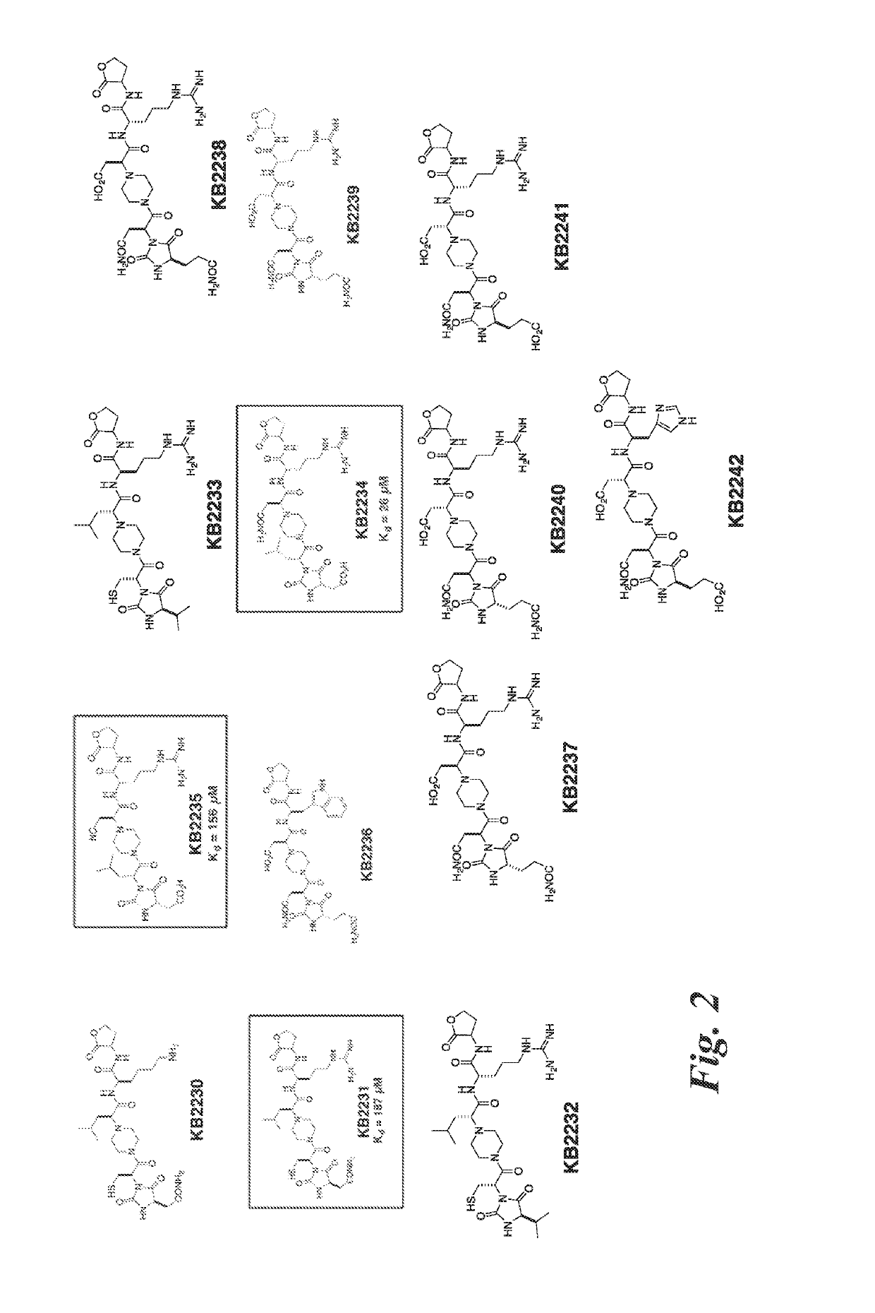 Inhibitors of ldlr-pcsk9 protein-protein interaction and methods of their use
