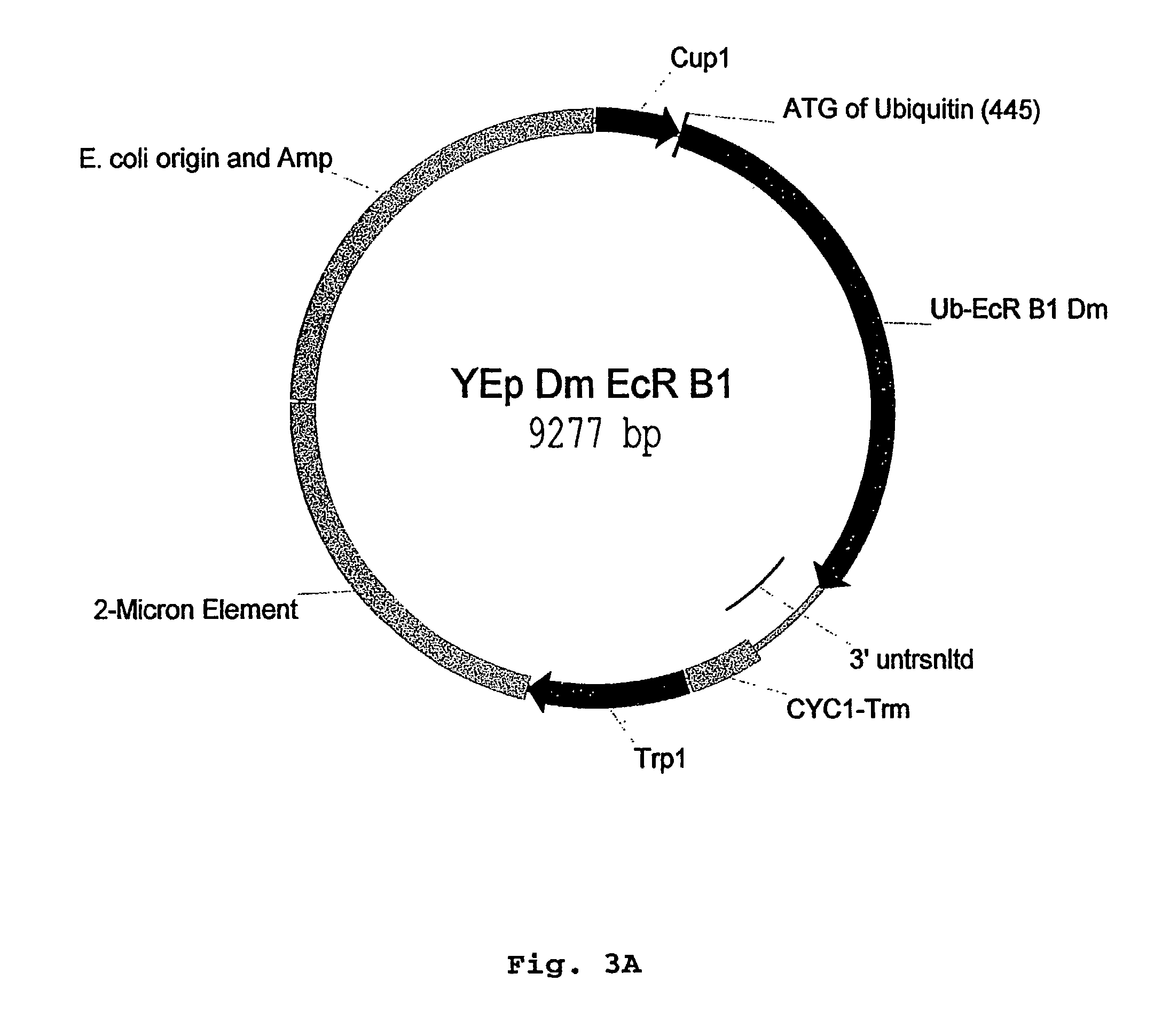 Methods and compositions for identifying ligands for nuclear receptors