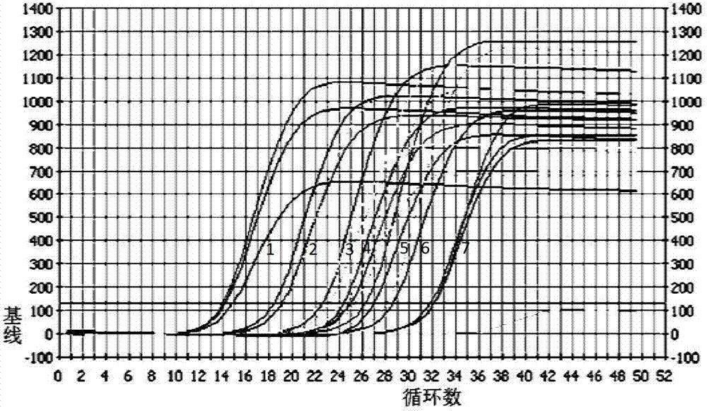 Method and kit for quickly detecting verticillium dahliae through PCR (polymerase chain reaction)