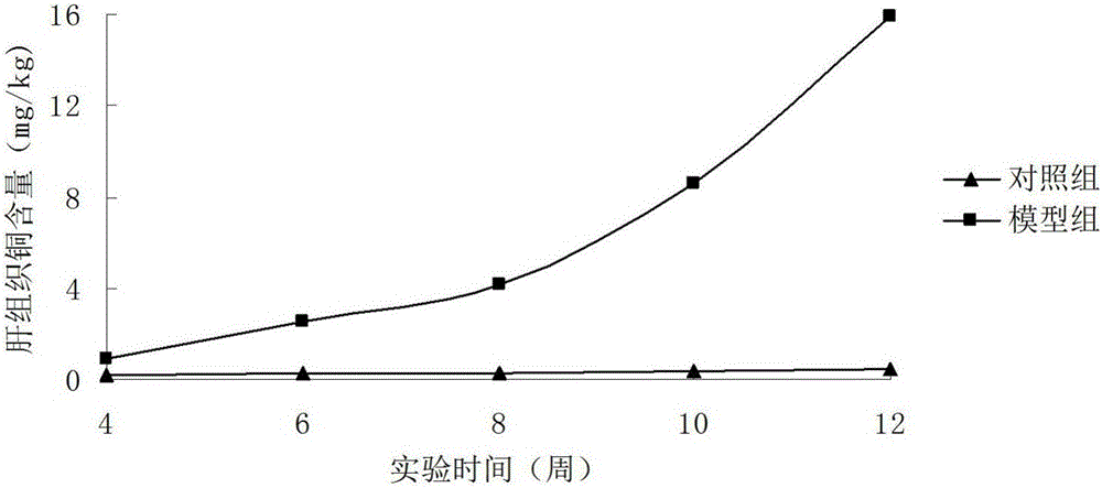 High-copper feed for establishing HLD (hepatolenticular degeneration) animal model and preparation method of high-copper feed
