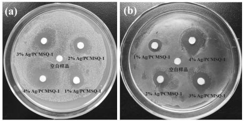 Strawberry-shaped silver-loaded polysilsesquioxane nano hybrid antibacterial material and preparation method thereof