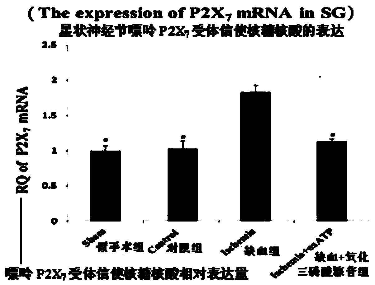 Application of P2X7 antagonist oxATP in preparation of medicament for treating myocardial ischemia injuries and hypertension/sympathetic nervous system diseases