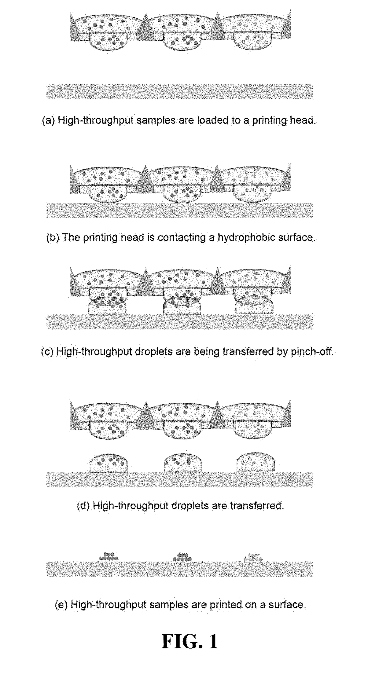 Fabrication method of print head for multiplex chemotyping microarray
