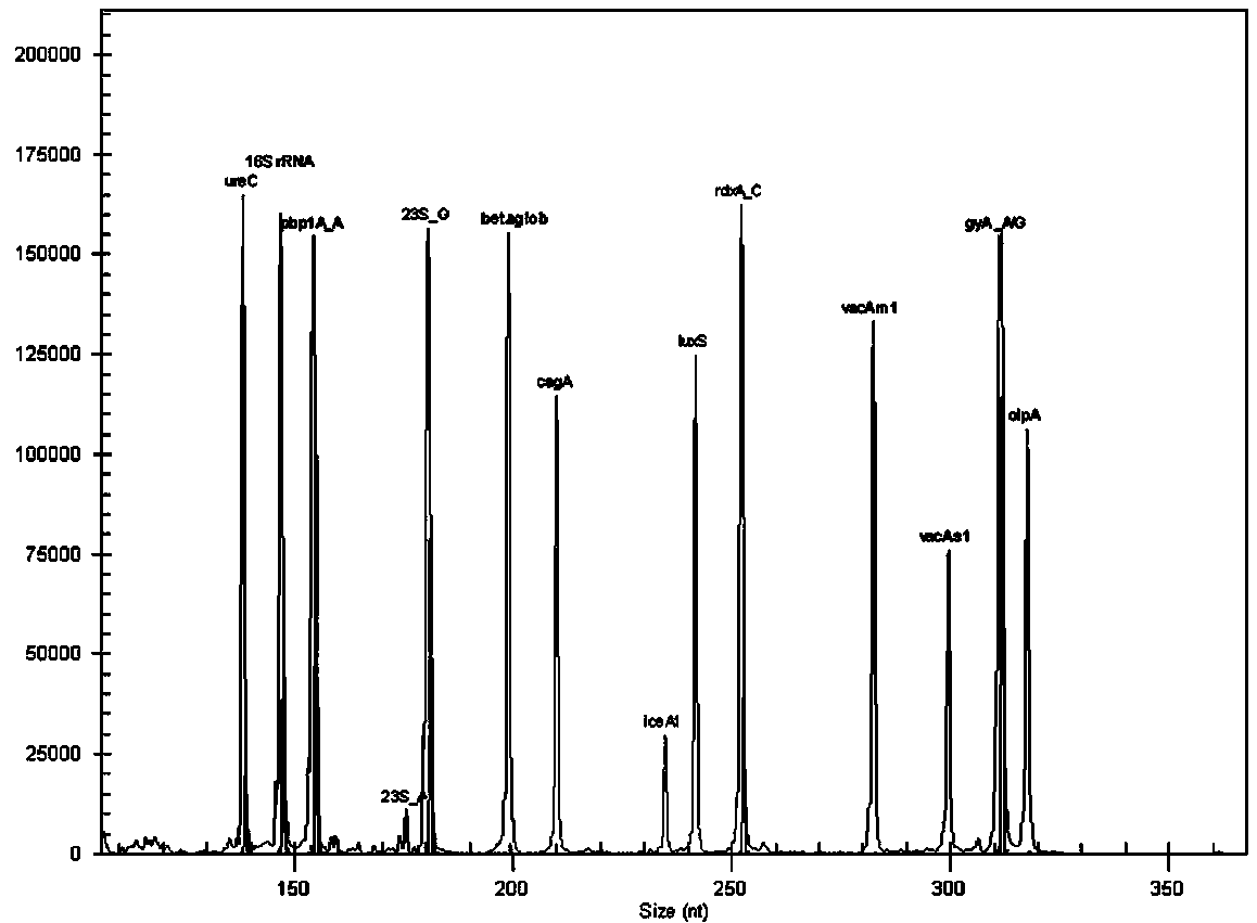 Helicobacter pylori identification and virulence multiplex gene detection system and its kit and application