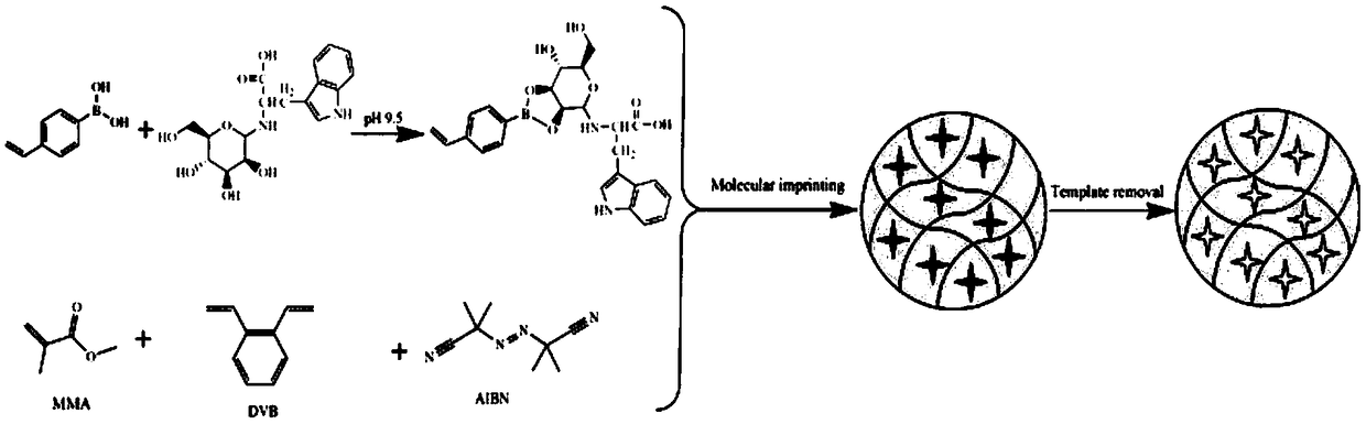 Molecularly imprinted microsphere for detecting teicoplanin and preparation method and application thereof