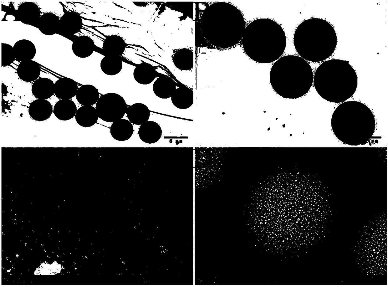 Molecularly imprinted microsphere for detecting teicoplanin and preparation method and application thereof