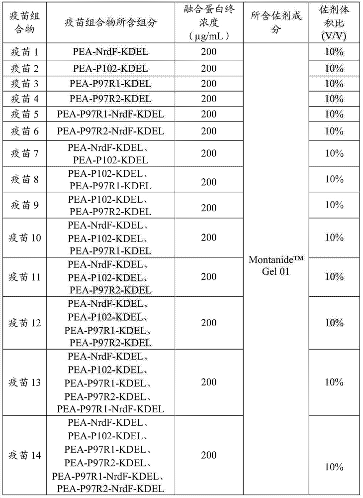 Preparation method and application of fusion protein and vaccine composition containing same