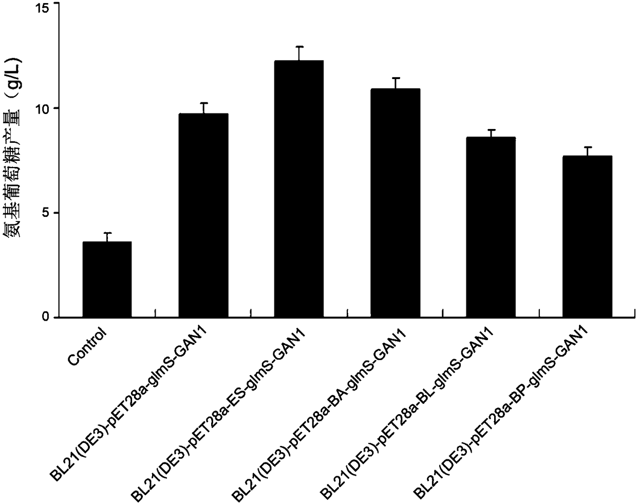 Glucosamine synthetase, engineering bacteria and application thereof