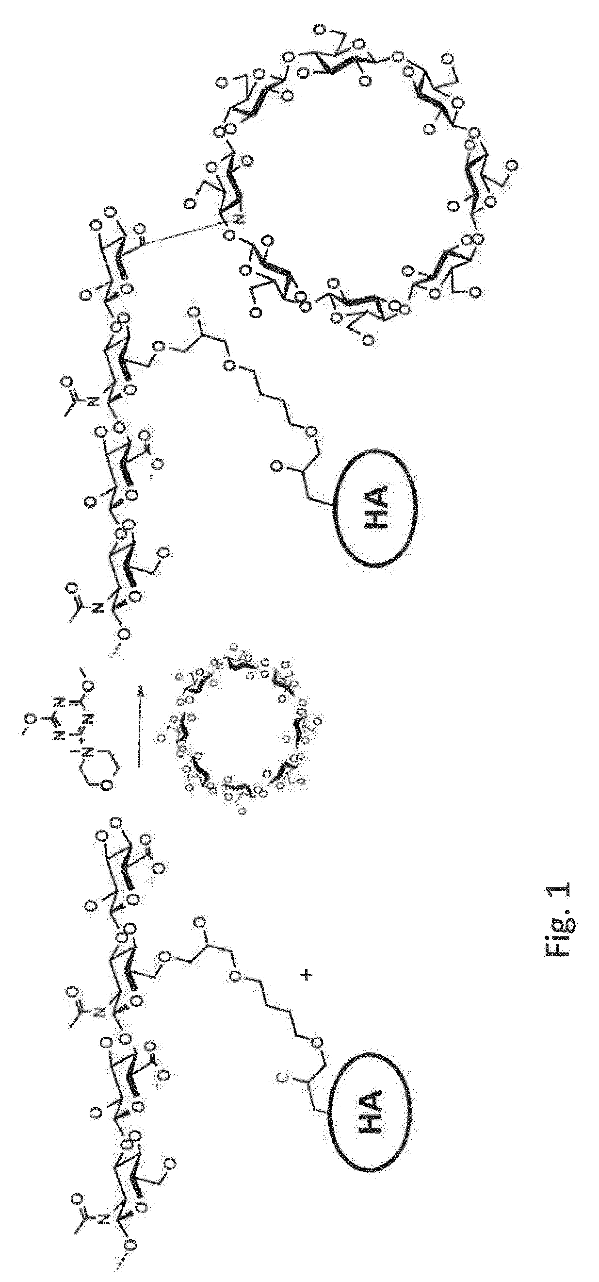 Cyclodextrin-grafted cross-linked hyaluronic acid complexed with active drug substances and uses thereof