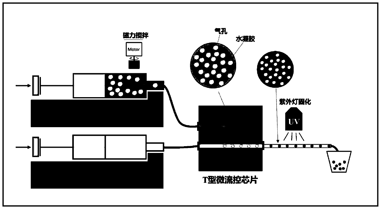 Double-negative acoustic metamaterial for transcranial ultrasonic imaging based on Mie resonance