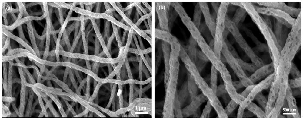 Nitrogen-doped porous carbon nanofiber sodium ion battery negative electrode material and preparation method thereof
