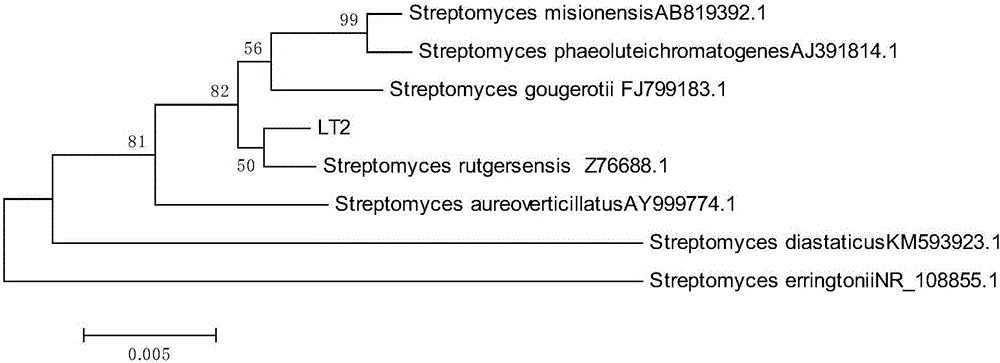 Keratinase-producing streptomyces rutgersensis LT-2 and application method thereof