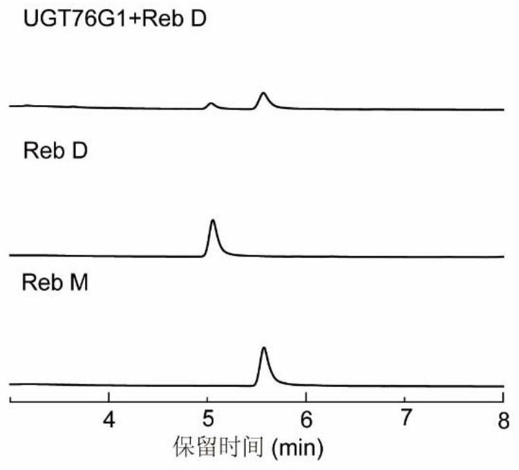 Method for efficiently biosynthesizing rebaudioside M by using glycosyltransferase UGT76G1 mutant