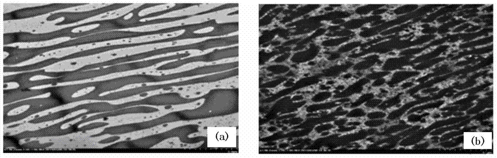 A polylactic acid alloy material with high plant density and high performance