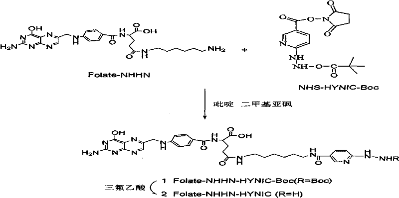 Preparation method and application of 99mTc-marked hydrazino nicotinamide-folate complexs