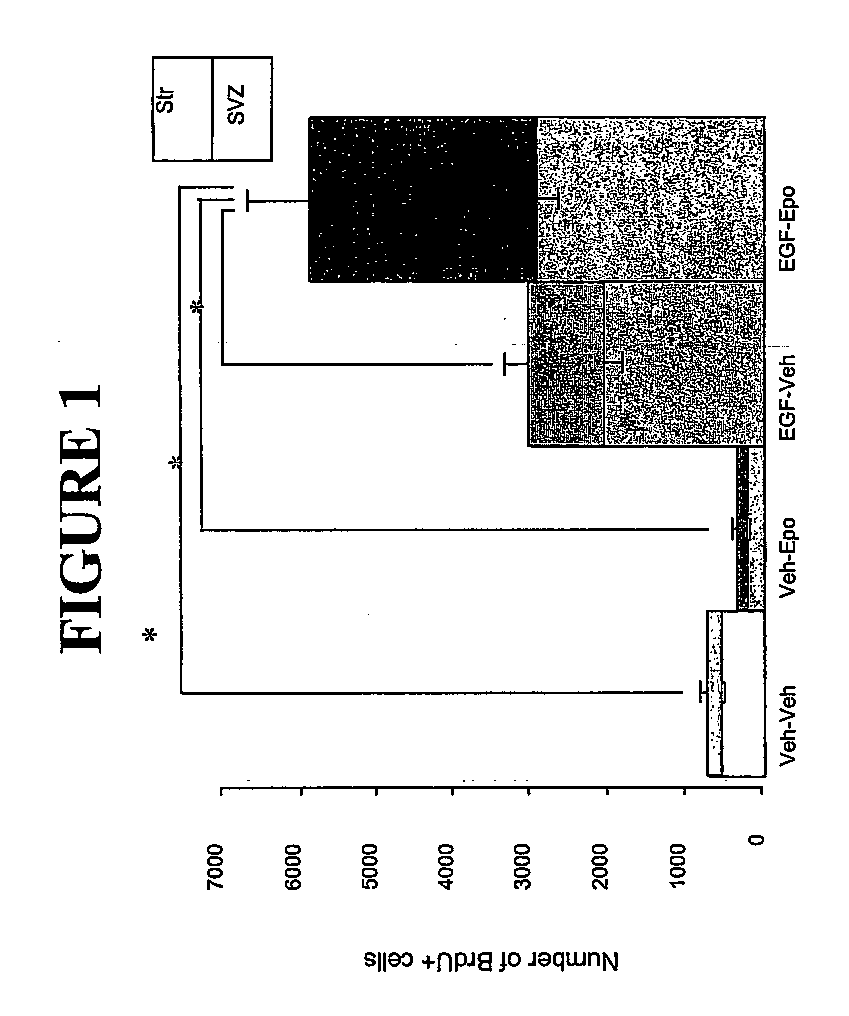 Method of enhancing and/or inducing neuronal migration using erythropoietin
