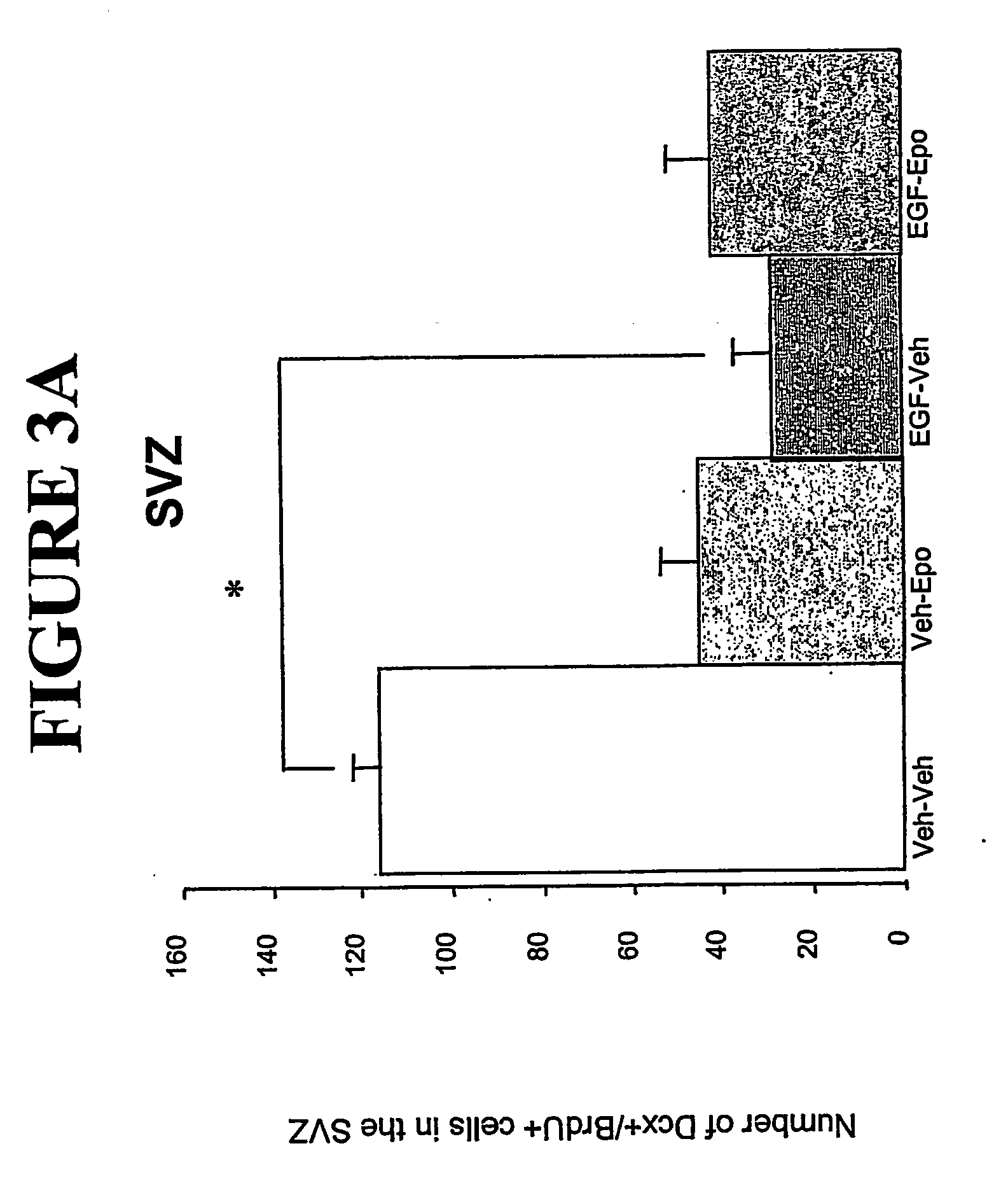 Method of enhancing and/or inducing neuronal migration using erythropoietin
