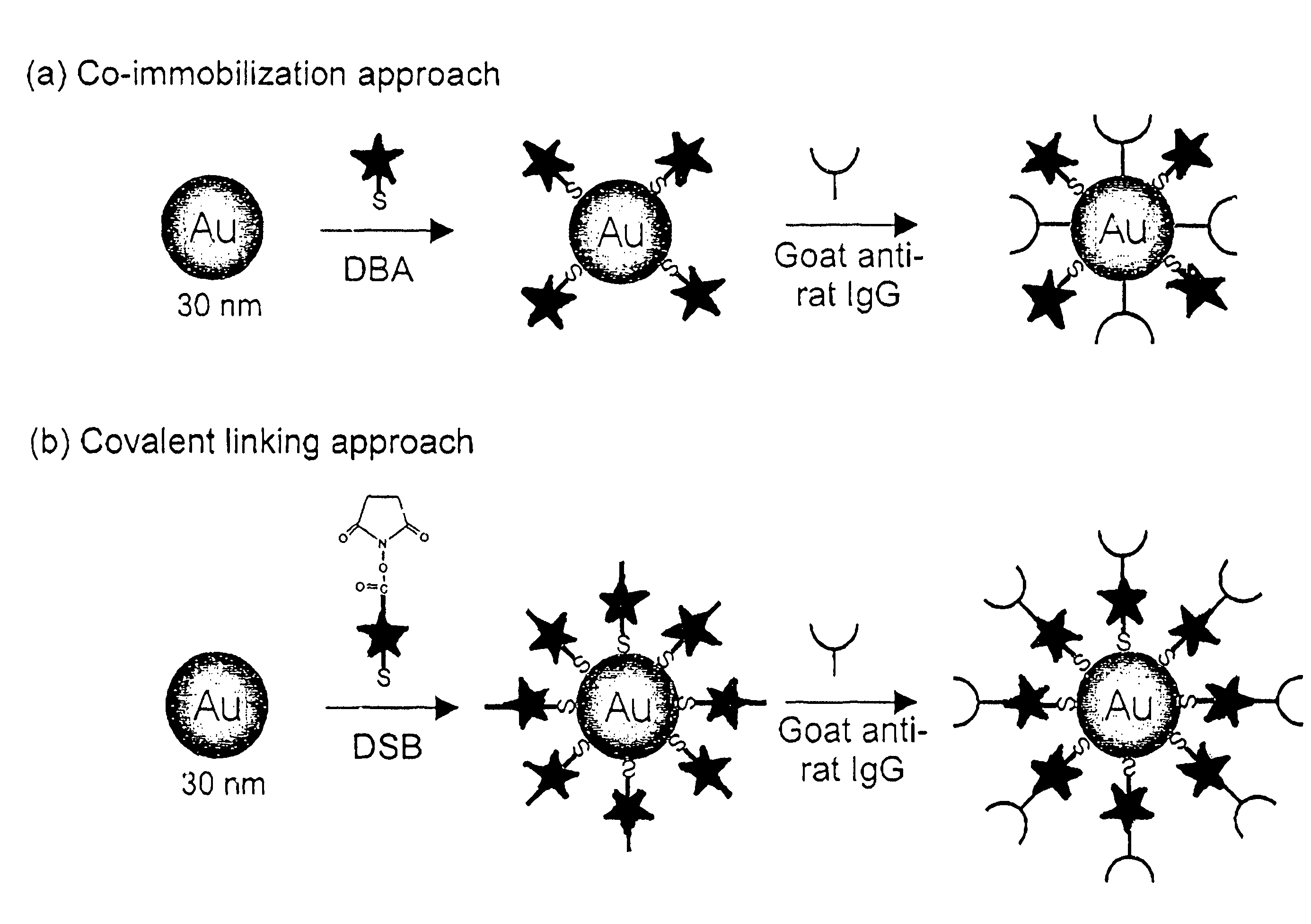 Raman-active reagents and the use thereof - Eureka | Patsnap