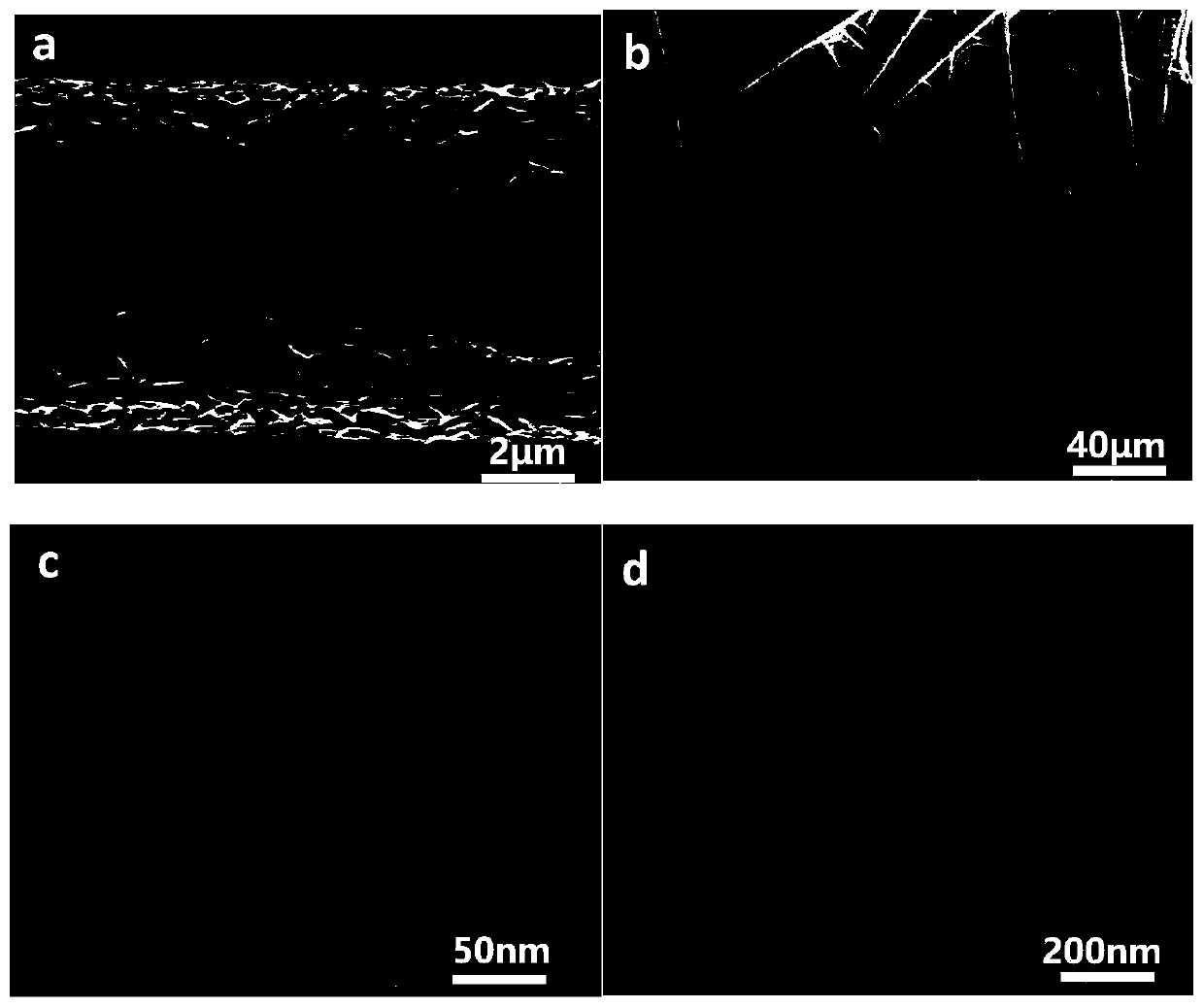 Preparation method of platinum/nano porous gold tin/carbon fiber paper composite electrode for simultaneously detecting ascorbic acid, dopamine and uric acid